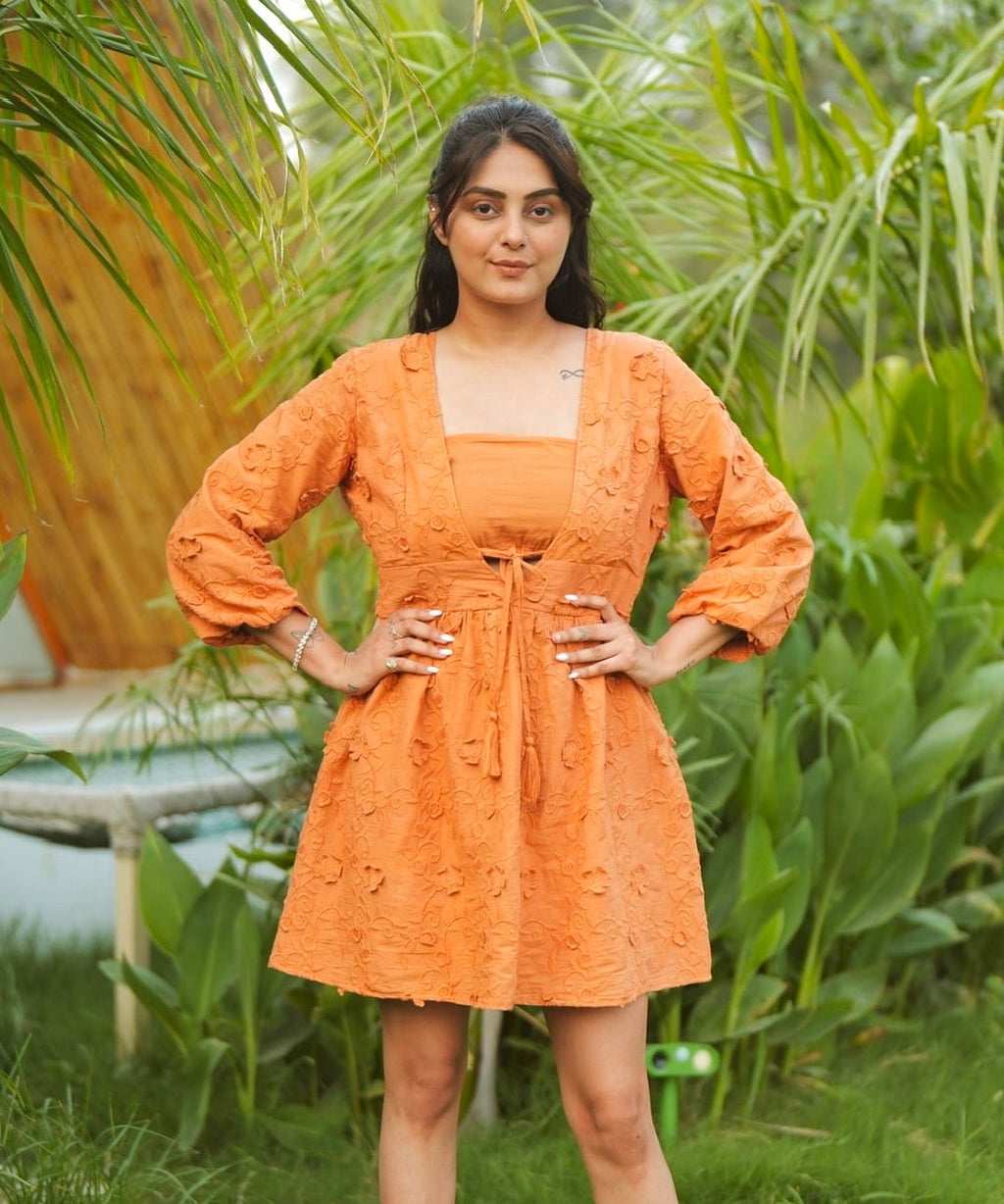 Delhi 3D Flower Embroidered Dress